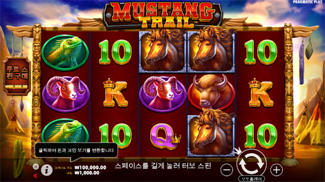 드래곤 타이거